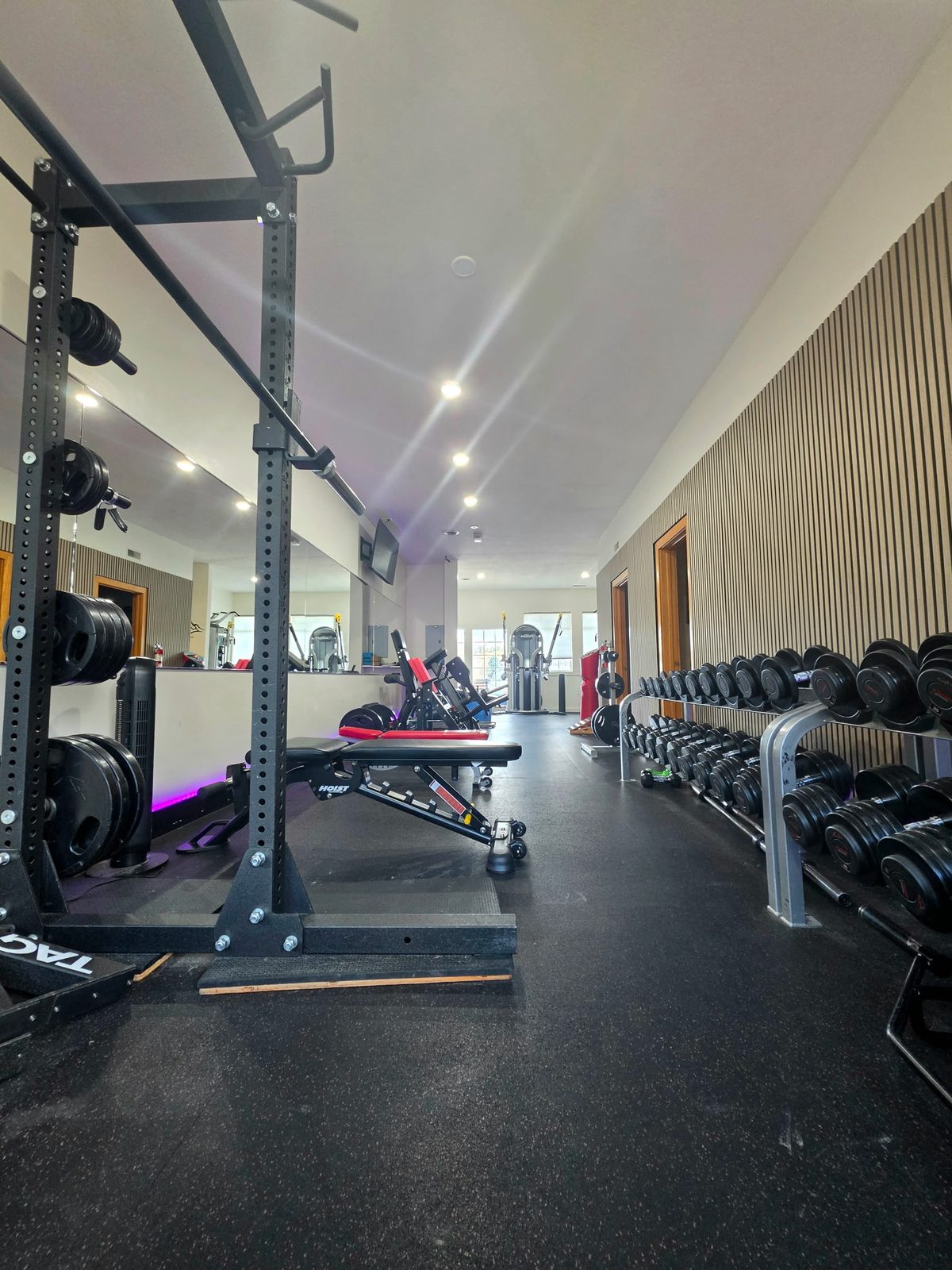 Dumbbell racks, bench and power rack