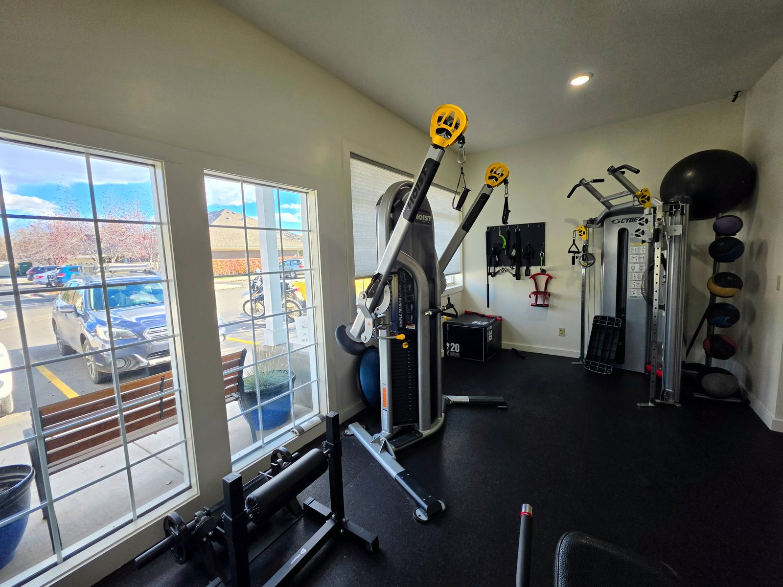 Functional trainers, medicine balls and a plyo box