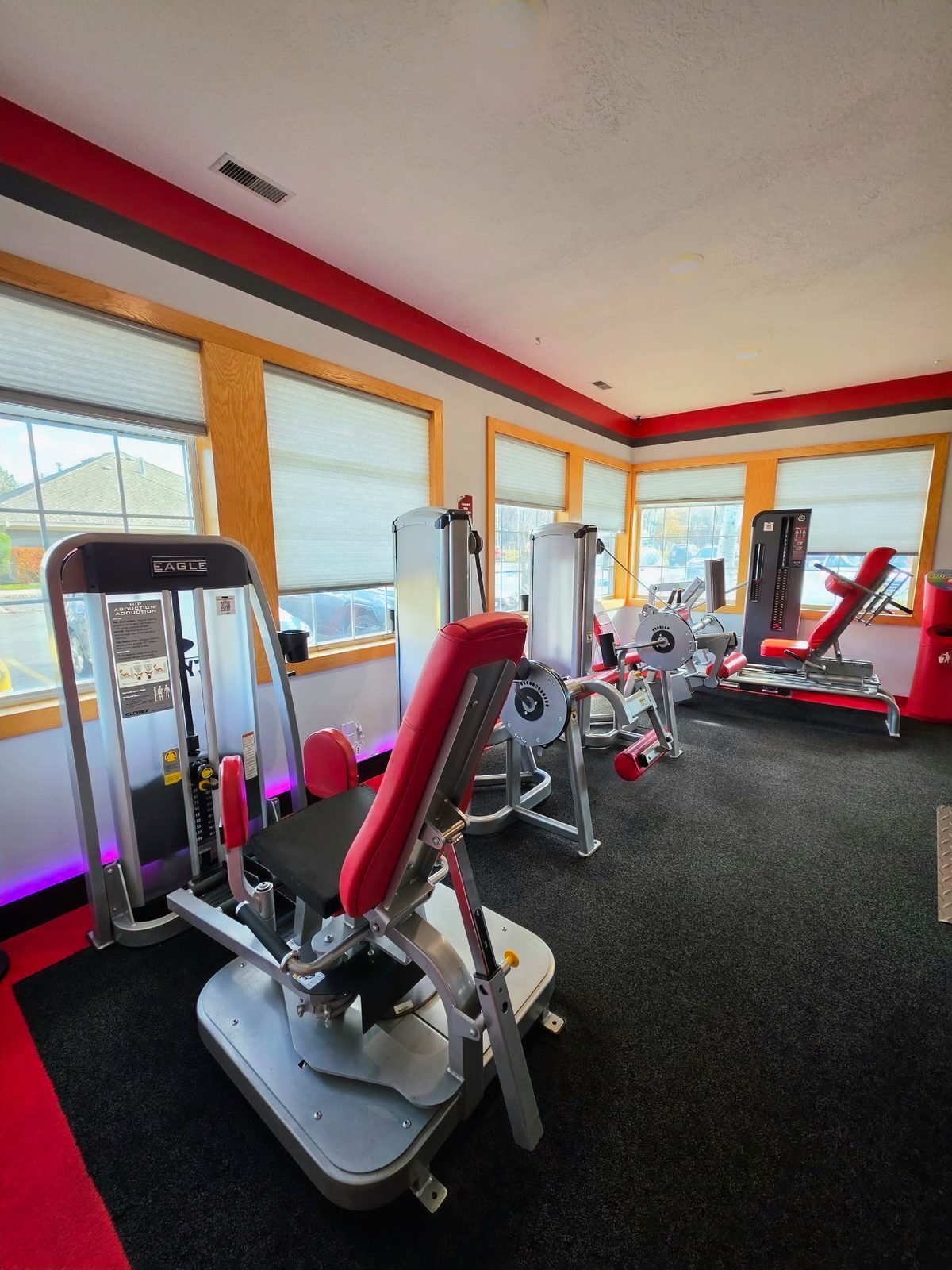 Leg and hip machines beside large windows