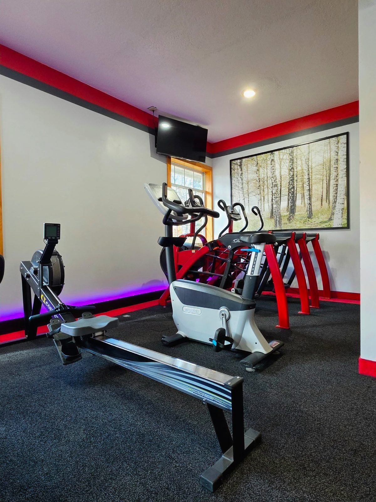 Rowing machine and stationary bikes