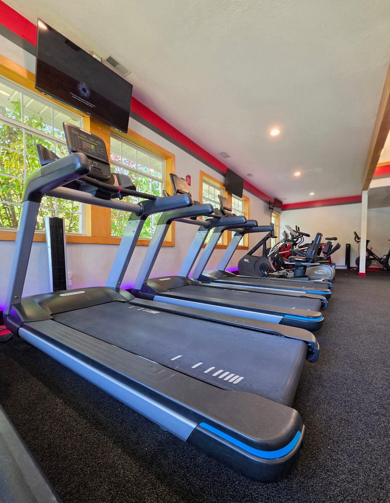Treadmills and cardio machines by the windows