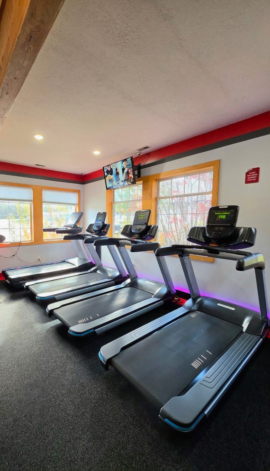 Row of treadmills by the windows